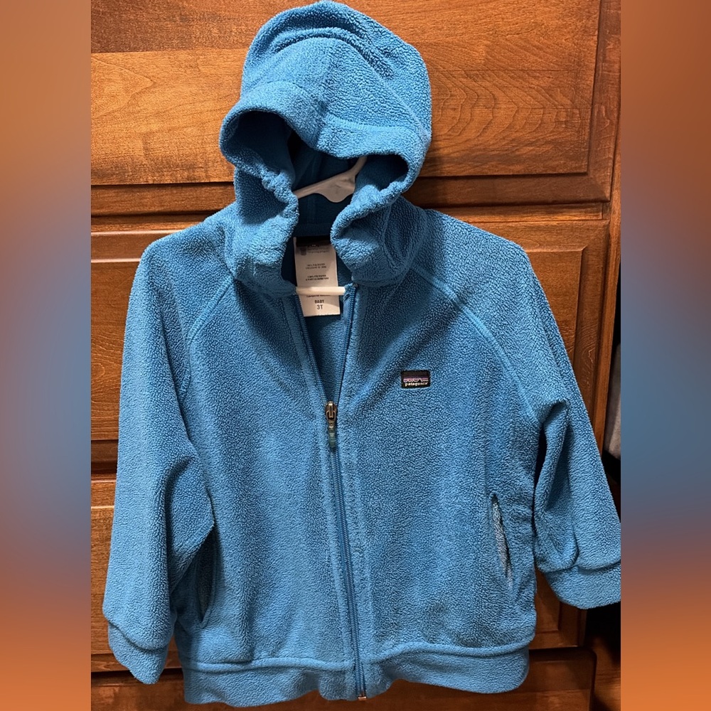 Patagonia Kids Teal Fleece Hoodie